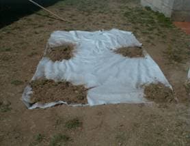 Capela de Nossa Senhora do Campo