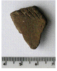 Fig. 15 – Fragmento de bojo com decoração em retícula FCORV-A2 174/05.