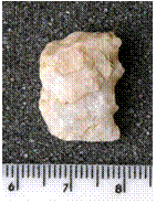 Fig. 16 – Elemento de foice denticulado sobre lasca, em quartzo (FCORV-A2 210/05).