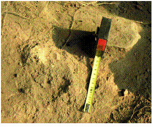 Fig. 19 – Barro de Revestimento da UE.2035.