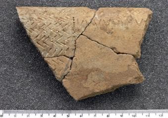 Fig.29 – Fragmento de taça de “tipo Cogeces” com decoração pontilhada, impressa a punção e incisa, ainda com vestígios do preenchimento a pasta branca, da Cabana 5 (FCORV 854).