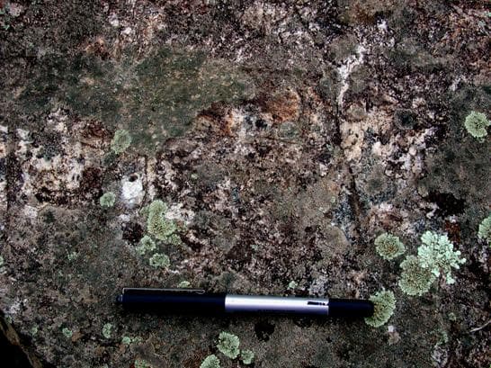 Núcleo de Arte Rupestre da Levada Velha – Equídeo ou cervídeo com a cabeça virada para trás.