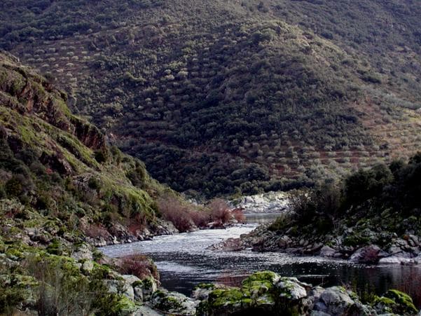 Vista parcial do Sector II a jusante da Foz da ribeira de Vale de Moinhos, close-up.
