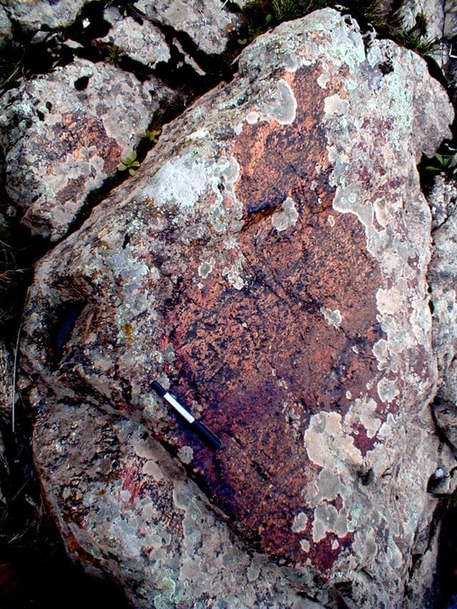 Núcleo de Arte Rupestre da Levada Velha – Bovídeo.