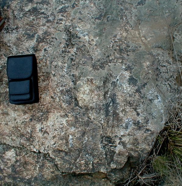 Núcleo de Arte Rupestre da Levada Velha – Figuração feminina.