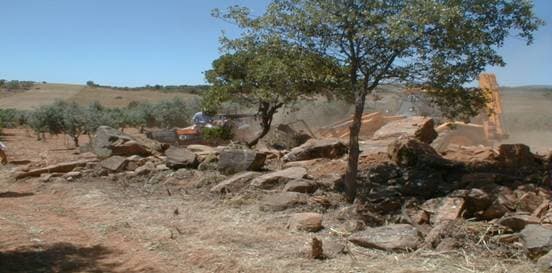 (aspecto da montureira, após desmatagem, desenho e fotografia)