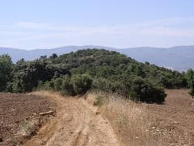 Figura 4 – O local visto de Norte