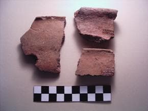 Figura 13 – Cerâmica Fase 3, U.E. [14]