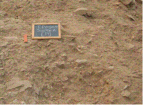 Figura 15 – U.E. [14], Pormenor