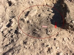 Figura 17– [4], Pormenor