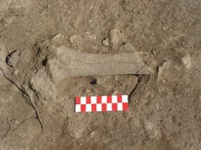 Figura 18– [4], Pormenor