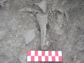 Figura 22– [2], Pormenor