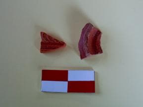 Figura 26– TSH, [1]