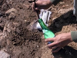 Figura 34 – Consolidação e remoção de ossos de bovino no derrube