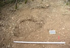 Figura 41 – UE[ 2] e [3], orientação N-S.