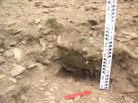 Figura 42 Pormenor corte da UE [2], orientação SE-NW.