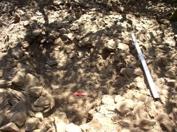 Figura 43: UE [4], orientaçãoW-E.