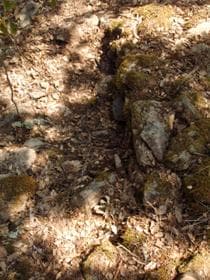 Figura 50– 1ª Linha de muralha, pormenor