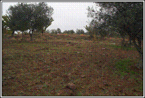 Talude de pedra da possível atalaia a Oeste.